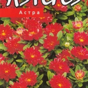 RATILIAI KIN. POMPON TROBADOR