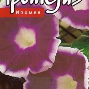 IPOMEJOS MORNING CALL