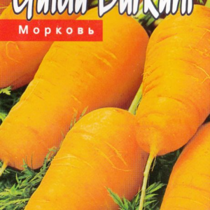 MORKOS VALGOMOSIOS ARON H