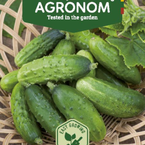 AGURKAI PAPRASTIEJI TRUMPAVAISIAI KRAK H