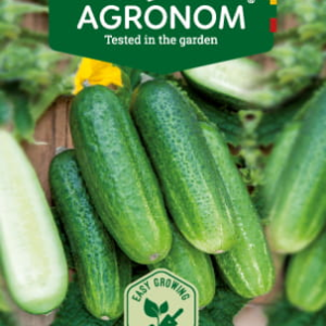 PAPRASTIEJI TRUMPAVAISIAI AGURKAI LIBELLE H