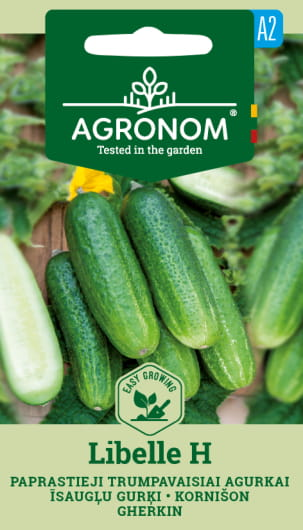 PAPRASTIEJI TRUMPAVAISIAI AGURKAI LIBELLE H