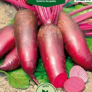 BUROKĖLIAI RAUDONIEJI RENOVA