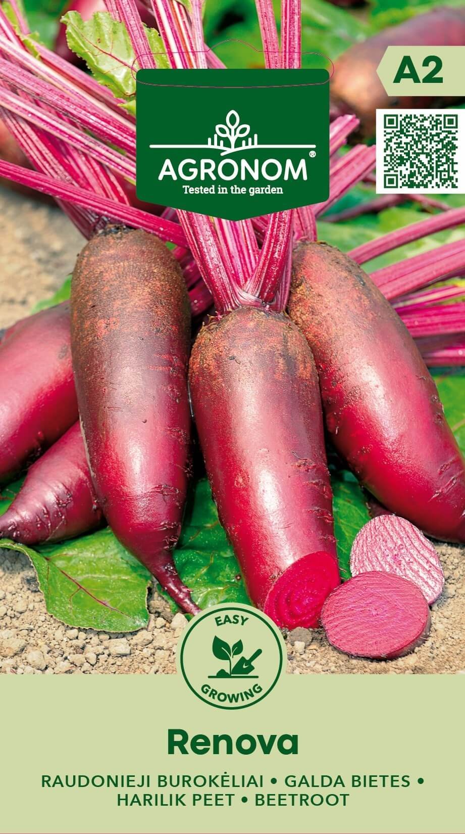 BUROKĖLIAI RAUDONIEJI RENOVA