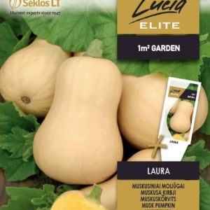 MOLIŪGAI MUSKUSINIAI LAURA