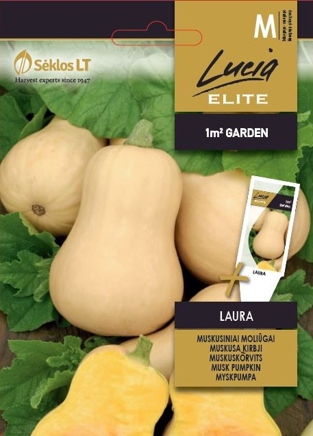 MOLIŪGAI MUSKUSINIAI LAURA