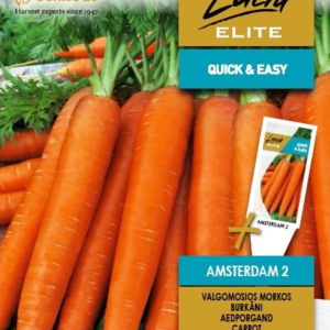 MORKOS VALGOMOSIOS AMSTERDAM 2