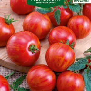 POMIDORAI VALGOMIEJI DUO