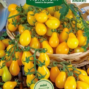 POMIDORAI VALGOMIEJI PERUN