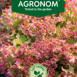 SALOTOS SĖJAMOSIOS LOLLO ROSSA