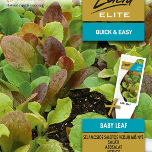 SALOTOS SĖJAMOSIOS BABY LEAF VEISLIŲ MIŠINYS