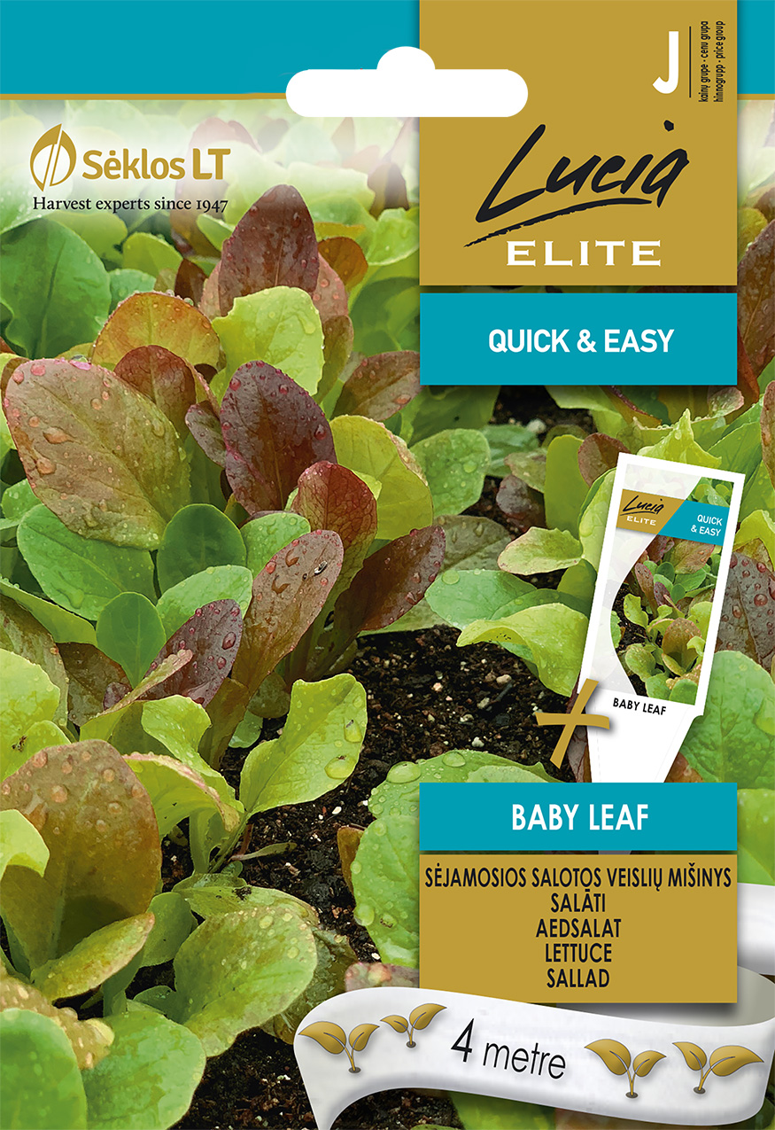 SALOTOS SĖJAMOSIOS BABY LEAF VEISLIŲ MIŠINYS