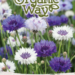 RUGIAGĖLĖS BALL MIŠINYS