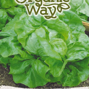 SALOTOS SĖJAMOSIOS MERVEILLE D HIVER