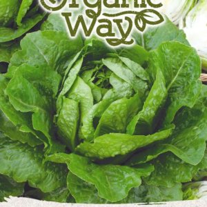 SALOTOS SĖJAMOSIOS VERDE DEGLI ORTOLANI