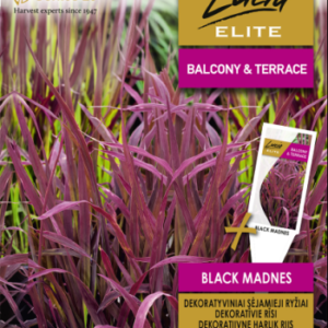 DEKORATYVINIAI SĖJAMIEJI RYŽIAI