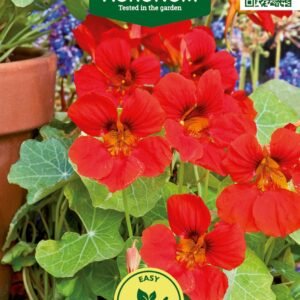 ŽEMOSIOS NASTURTĖS GLOBE OF FIRE