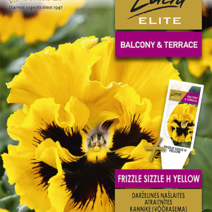 NAŠLAITĖS DARŽELINĖS FRIZZLE SIZZLE