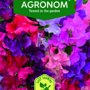 KVAPIEJI PELĖŽIRNIAI ROYAL FAMILY