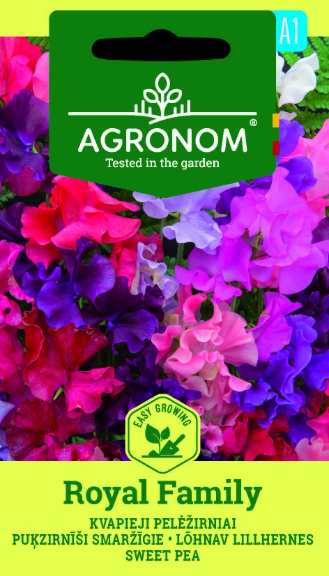 KVAPIEJI PELĖŽIRNIAI ROYAL FAMILY