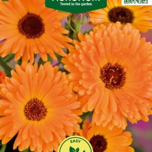 VAISTINĖS MEDETKOS ART SHADES