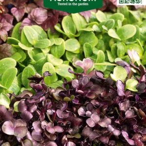 SĖKLŲ MIŠINYS MICRO GREENS