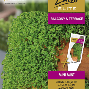 SULTINGOSIOS MĖTOS MINI MINT