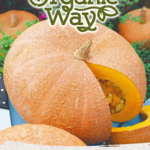 MOLIŪGAI QUINTALE SEME GIALLO