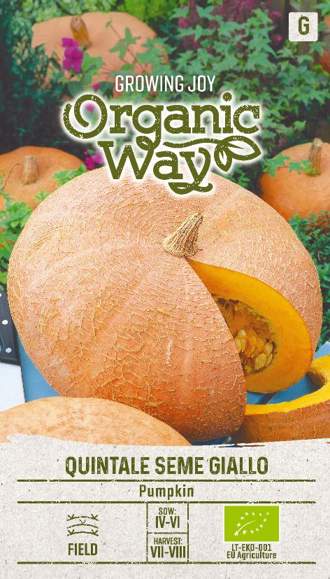 MOLIŪGAI QUINTALE SEME GIALLO