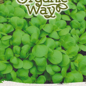 PORTULAKOS PAPRASTOSIOS