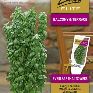 KVAPIEJI BAZILIKAI EVERLEAF THAI TOWERS