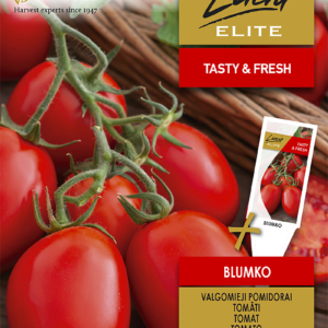 POMIDORAI VALGOMIEJI BLUMKO