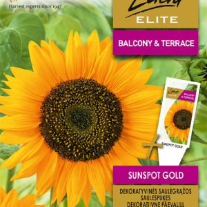 SAULĖGRĄŽOS DEKORATYVINĖS SUNSPOT GOLD