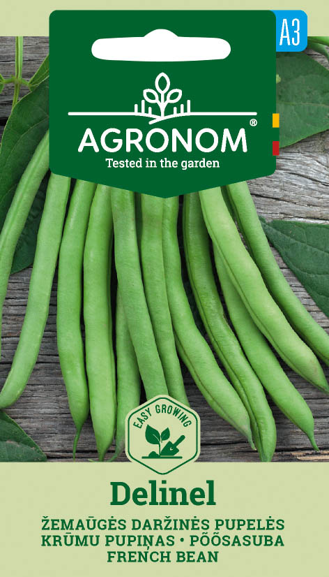 PUPELĖS DARŽINĖS ŠPARAGINĖS DELINEL