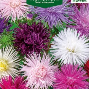 RATILIAI KININIAI GIANT RAY MIŠINYS