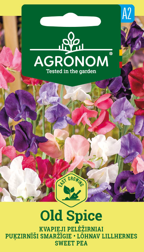 PELĖŽIRNIAI KVAPIEJI OLD SPICE MIŠINYS