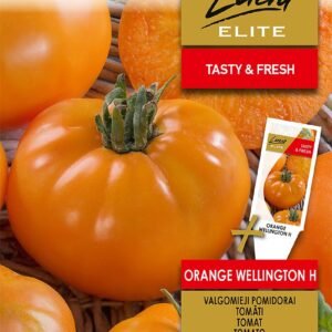POMIDORAI VALGOMIEJI ORANGE WELLINGTON H