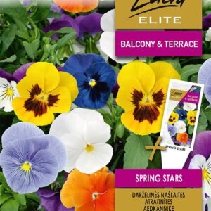 NAŠLAITĖS DARŽELINĖS SPRING STARS