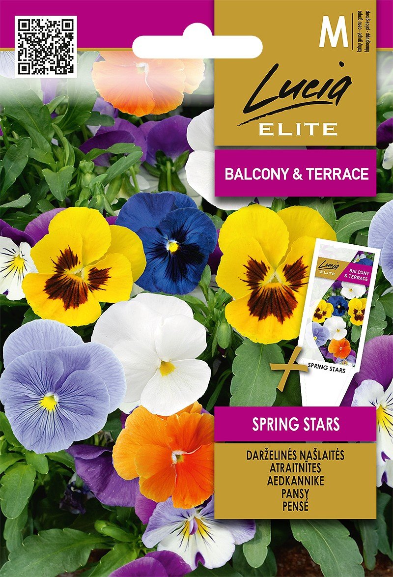 NAŠLAITĖS DARŽELINĖS SPRING STARS