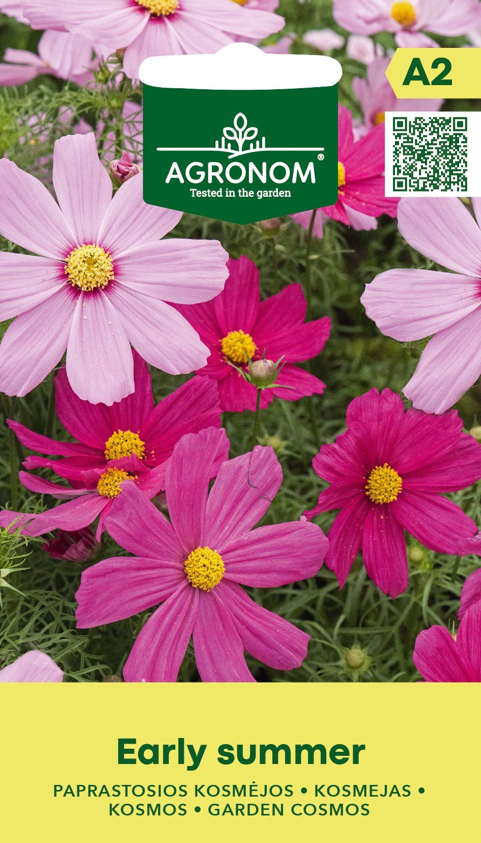 KOSMĖJOS PAPRASTOSIOS EARLY SUMMER