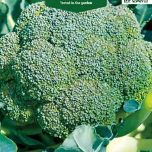 BROKOLIAI RAMOSO CALABRESE