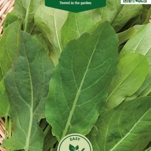 RŪGŠTYNĖS VALGOMOSIOS BROADLEAVED