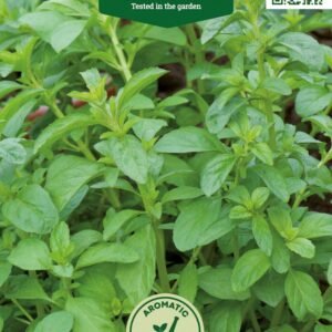 MĖTOS TAŠKUOTOSIOS