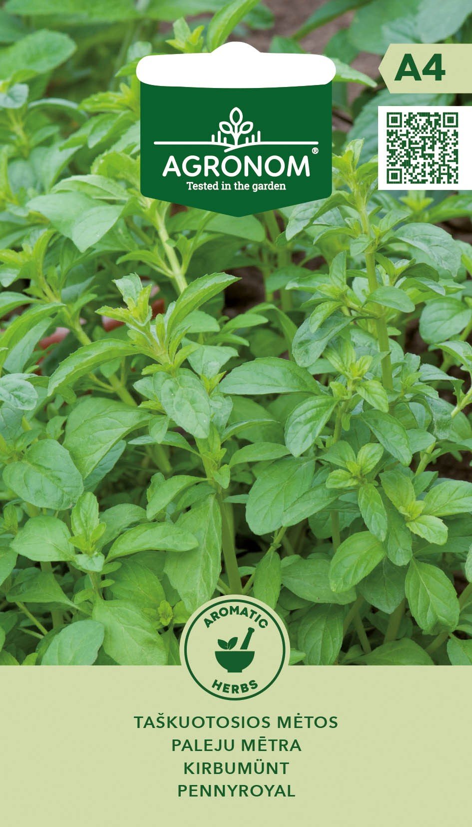 MĖTOS TAŠKUOTOSIOS