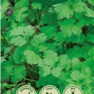 KALENDROS BLAKINĖS LEMON