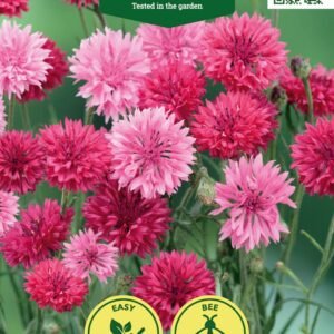 RUGIAGĖLĖS ROSE SHADE