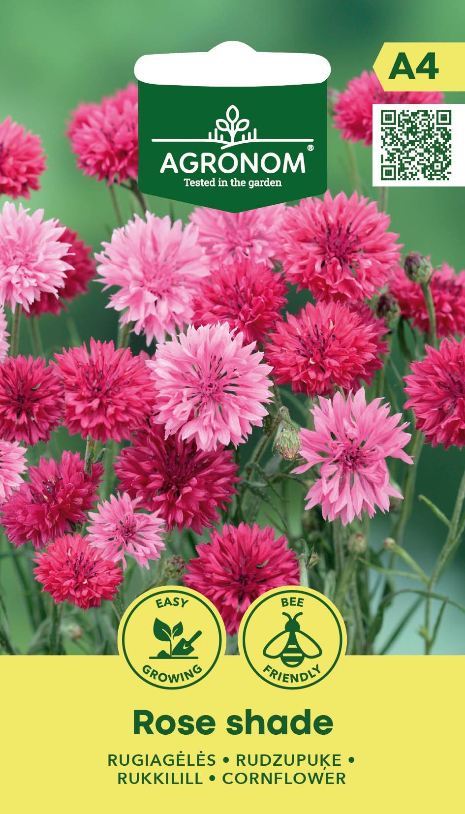 RUGIAGĖLĖS ROSE SHADE