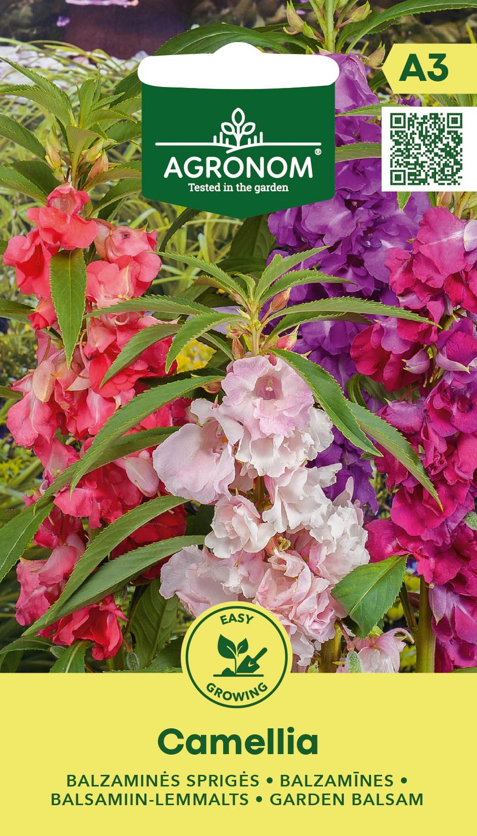 BALZAMINĖS SPRIGĖS CAMELLIA