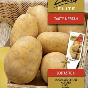 BULVĖS VALGOMOSIOS SOLTASTIC H