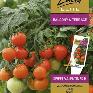 POMIDORAI VALGOMIEJI SWEET VALENTINES H